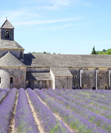 Guide Abbaye de Sénanque, Guide Conférencier Sénanque, Guide Provence, Guides Provence