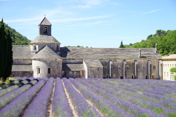 Guide Abbaye de Sénanque, Guide Conférencier Sénanque, Guide Provence, Guides Provence