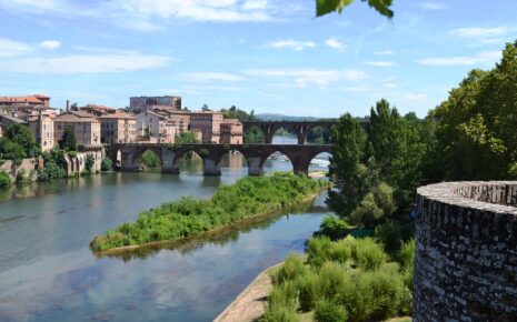 Visite d'Albi, Guide Albi