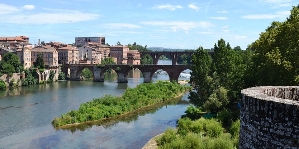 Visite d'Albi, Guide Albi