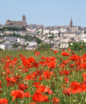 Visite de Rodez, Guide Rodez