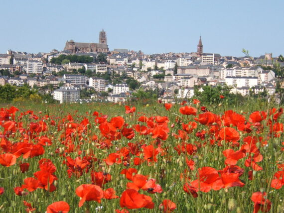 Visite de Rodez, Guide Rodez