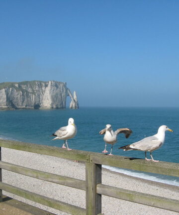 Etretat