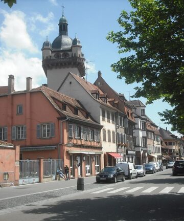 guide selestat, visite guidée sélestat, visite sélestat, guide conférencier sélestat