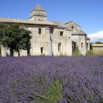 Guide Touristique Saint Rémy de Provence, Guide Saint Rémy de Provence, Visite Guidée Saint Rémy de Provence