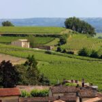 Guide Touristique Saint Emilion, guide Saint Emilion