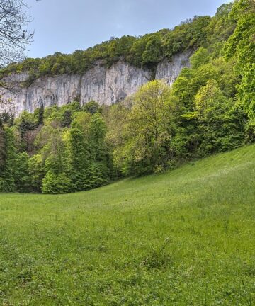 Visite Guidée Fontaine