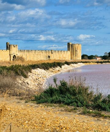 Aigues Mortes Visite Guidée