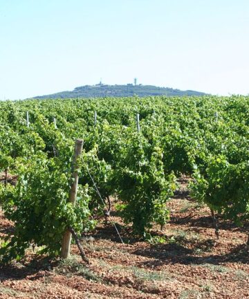 Visite Guidée Agde