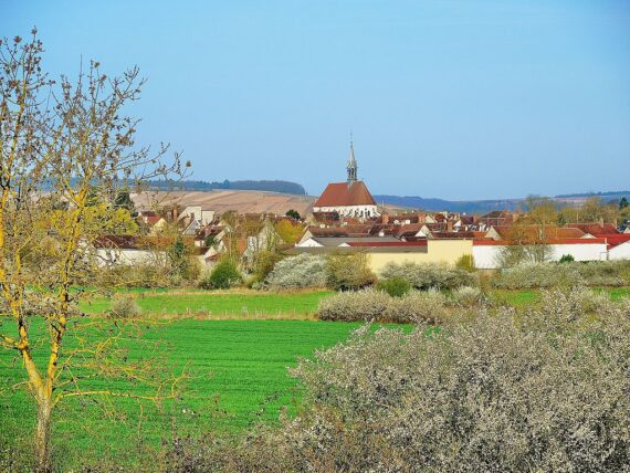 Visite Guidée Chablis