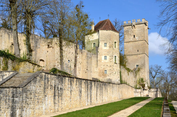 Visite Guidée Montbard