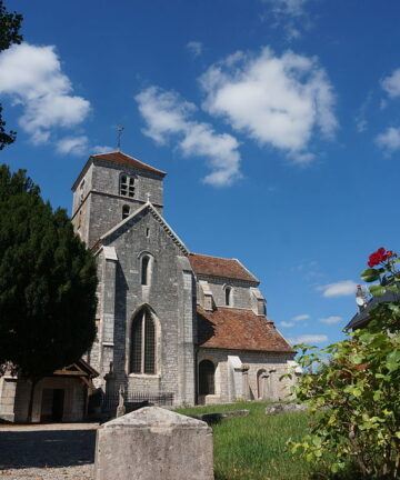 Nuits Saint Georges