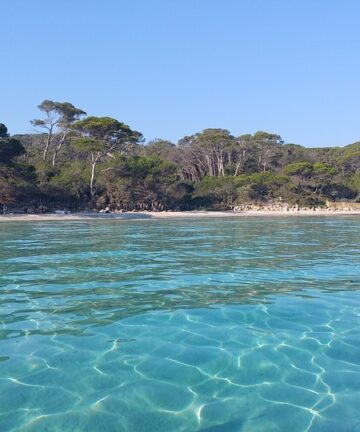 Porquerolles (île de)