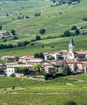 Guide Juliénas, Visiter le Beaujolais