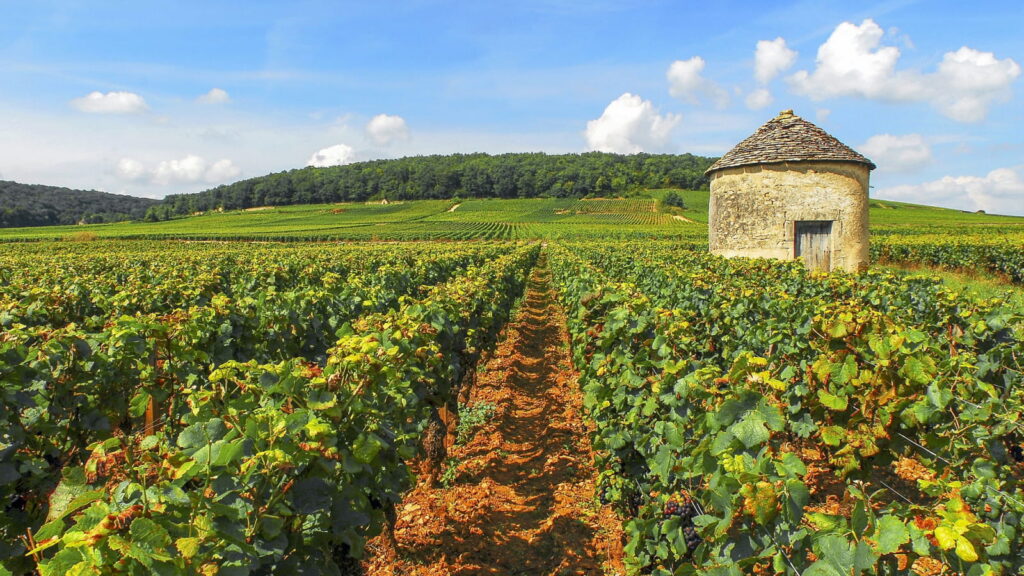 Visiter Bourgogne