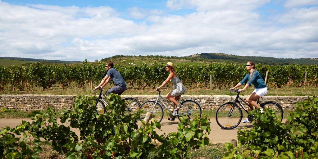 Visite Guidée Bourgogne