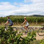 Visite Guidée Bourgogne