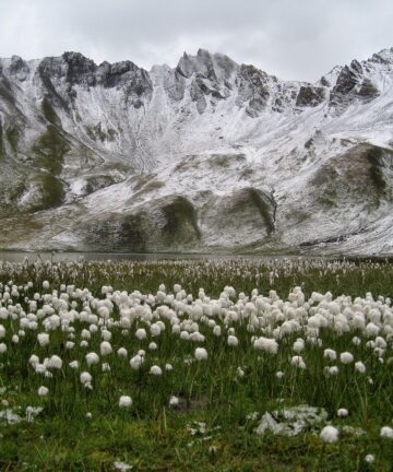 Visitar Tignes, Reservar Tignes