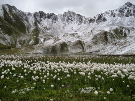 Visitar Tignes, Reservar Tignes