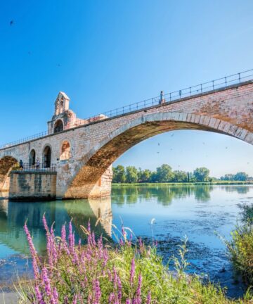 Visite Guidée de Avignon