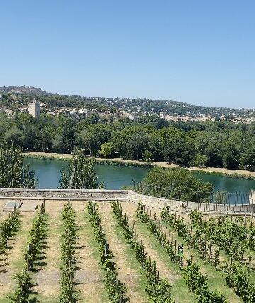 Visite Guidée Avignon