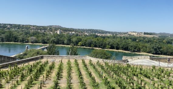 Visite Guidée Avignon