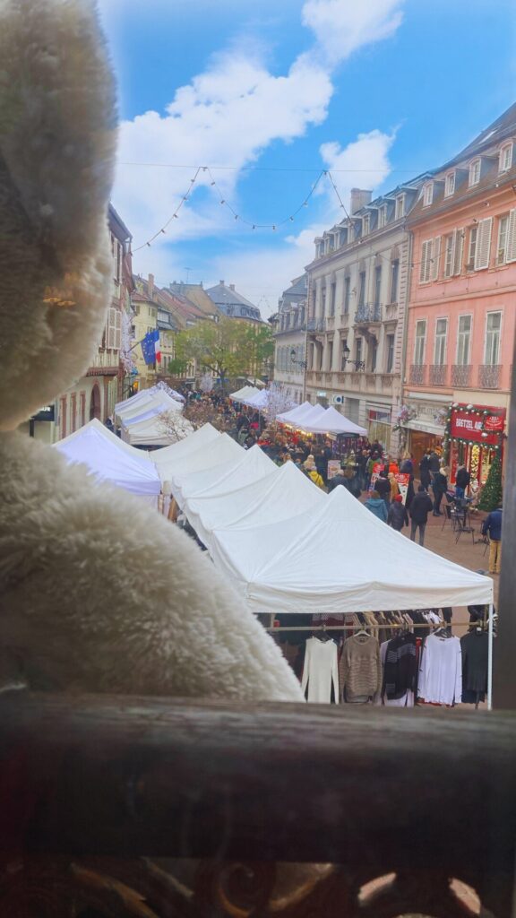 Visite Guidée Colmar, Visitez Colmar