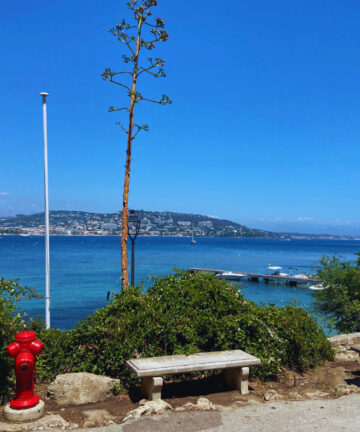 Visite Guidée de Cannes