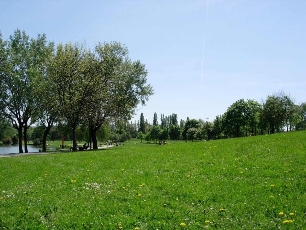 Visite Guidée de Metz