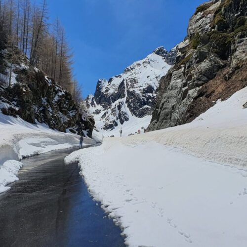 Visite Guidée Chamonix, Visiter Chamonix